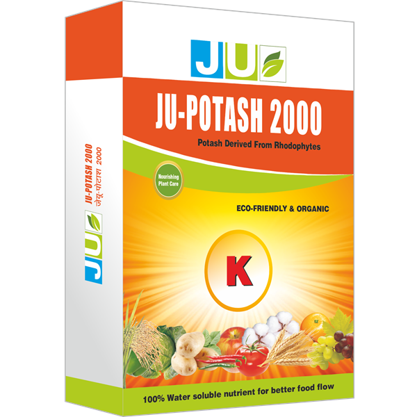 JU-Potash 2000