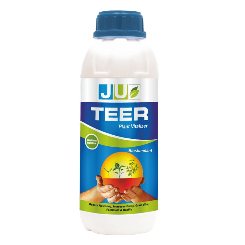 TEER