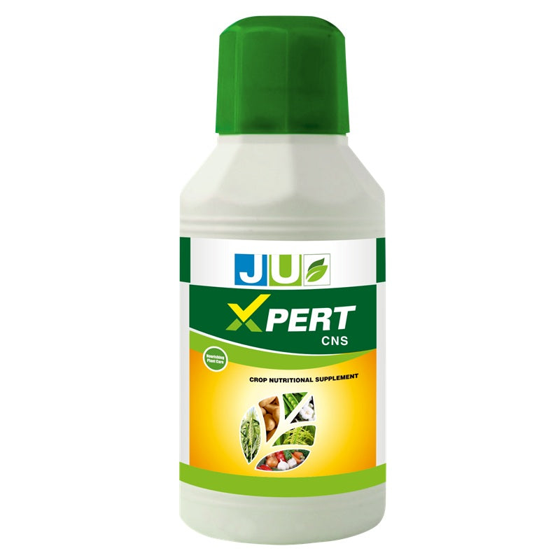 Xpert